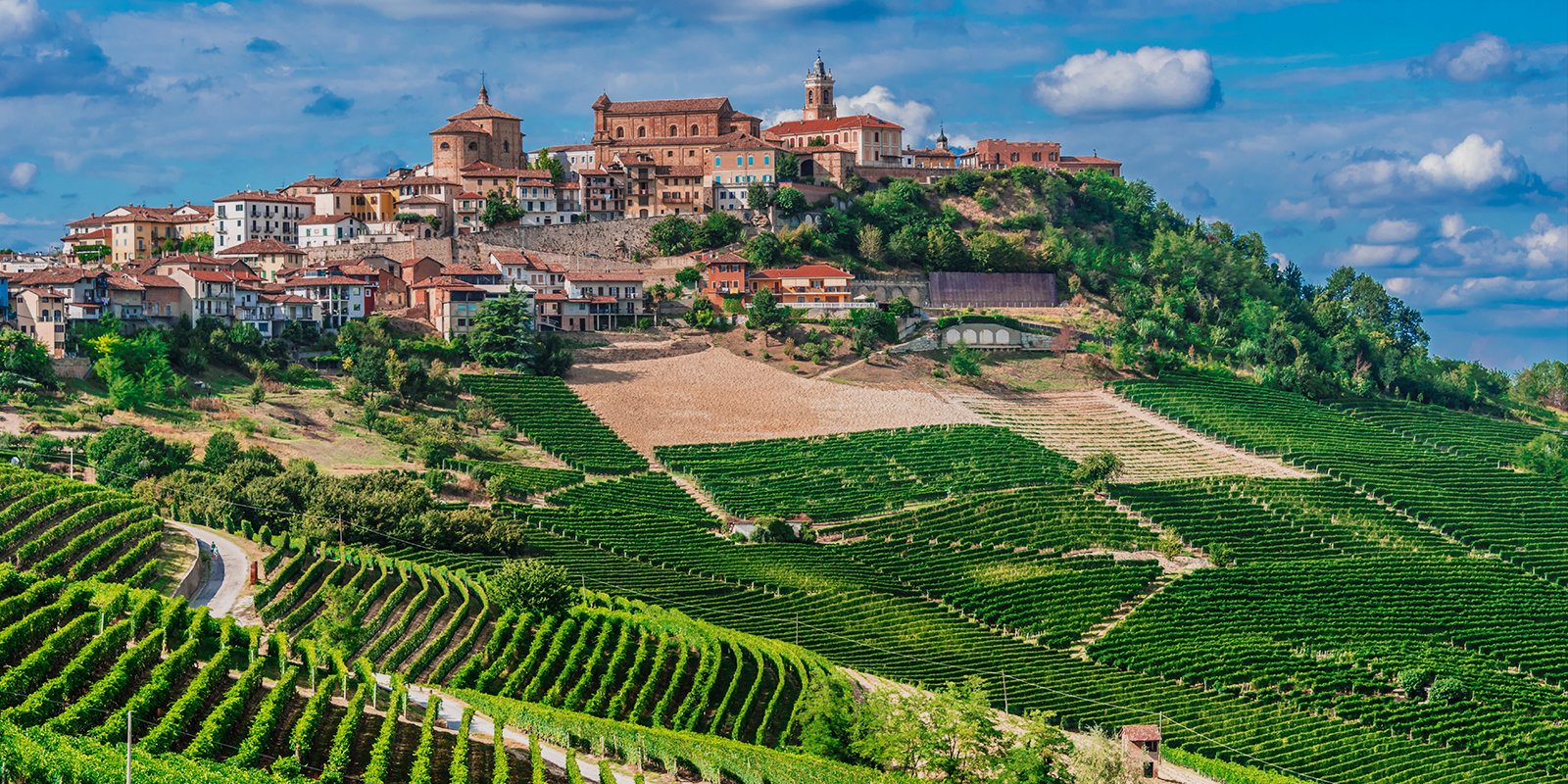 Sustainable Farming in Northern Italy EF Educational Tours