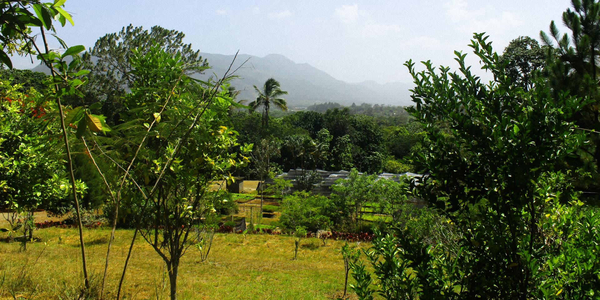 Earth Month 2024 Environmental Activism in the Dominican Republic EF