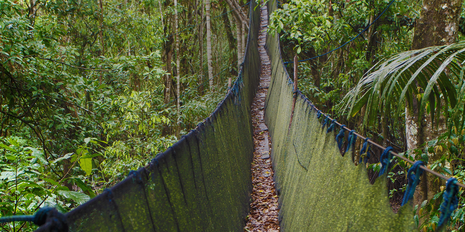 Lima and the Amazon EF Educational Tours